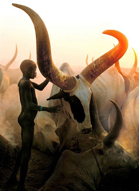 Powerful Photographs Show The Daily Life of The Dinka People Of ...