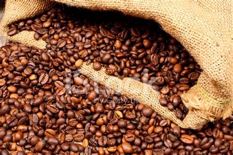 Fresh Coffee Beans Stock Photo | Royalty-Free | FreeImages