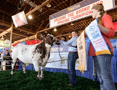 Photo Gallery | State Fair of Texas