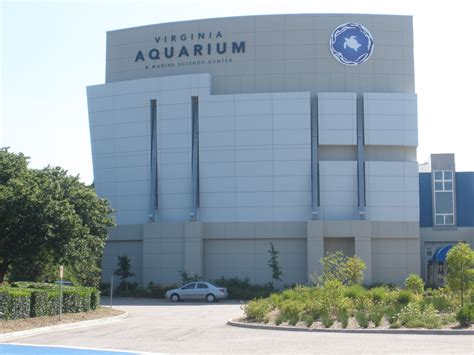 Merle's Whirls: VIRGINIA BEACH: AQUARIUM