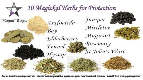 10 Magickal Protective Herbs for use in Powders, Sachets, Incense etc | Herbs for protection ...