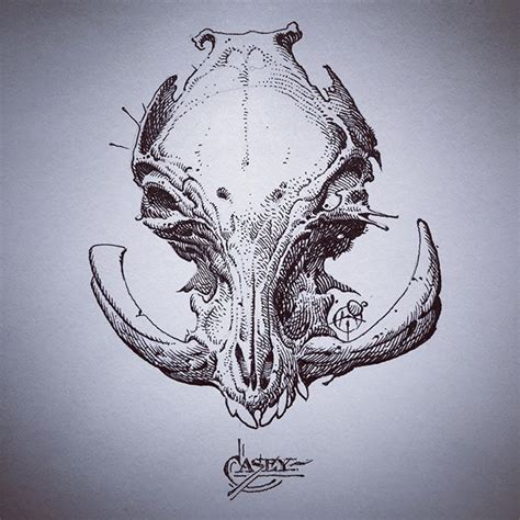 Pig Skull Drawing at GetDrawings | Free download