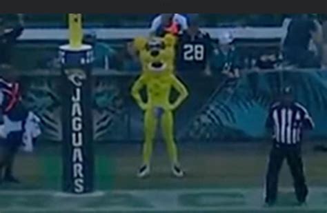 The Jacksonville Jaguars’ Mascot : r/oddlyterrifying