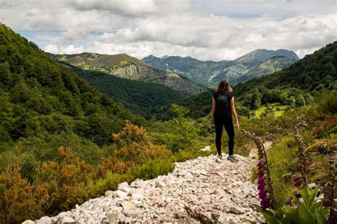 All You Need To Know Exploring Tumamoc Hill Hiking Trail