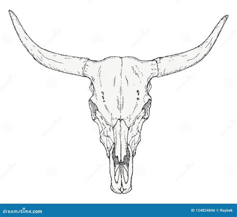 Bull Skull Seamless Vector Pattern. Cow Skull Line Art With Colorful ...