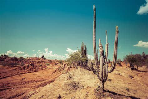 6 Photographers on Capturing Timeless Images of the Desert