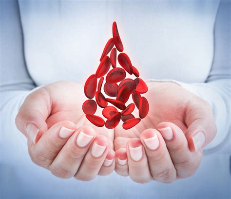 Fungsi Sel Darah Merah Untuk Keberlangsungan Hidup Manusia