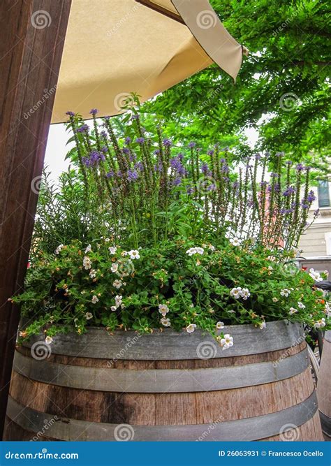 Old Wooden Barrel with Flowers Stock Image - Image of cask ...