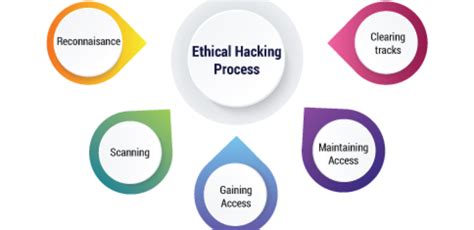 Ethical Hacking Phases - Techradix Technology