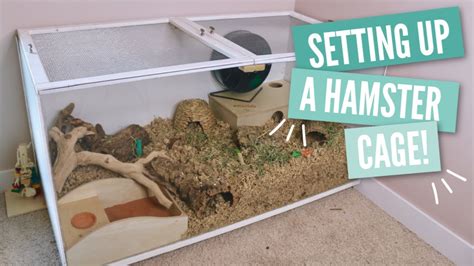 How to Setup a Hamster Cage – HousePetsCare.com