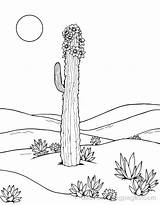 Cactus Coloring Pages  19 Free Printable sketch template