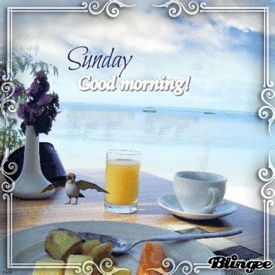 Orange Juice And Coffee Sunday Good Morning Quote Pictures, Photos, and Images for Facebook ...