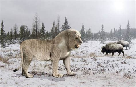 European, Eurasian cave lion | DinoAnimals.com