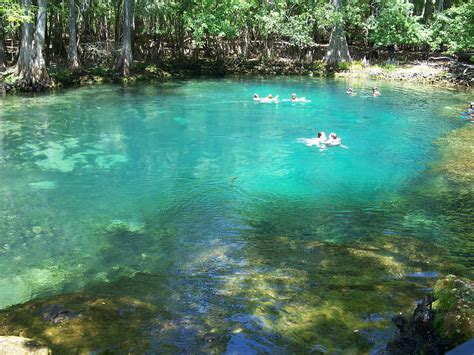 File:Manatee Springs State Park Florida springs05.jpg - Wikimedia Commons