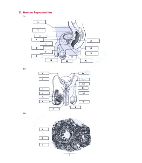 NCERT Biology Diagrams Pdf Biology Class 11, Biology Diagrams, Biotechnology, Ebook, Student ...