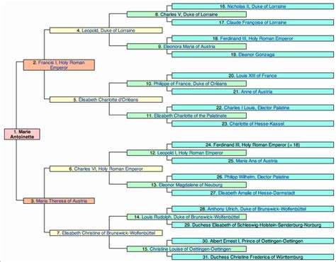 heroinesofhistory - Marie Antoinette | Family tree, Ancestor, Family ...