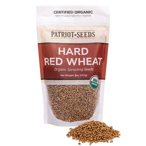 Organic Hard Red Wheat Sprouting Seeds Pack by Patriot Seeds – My ...