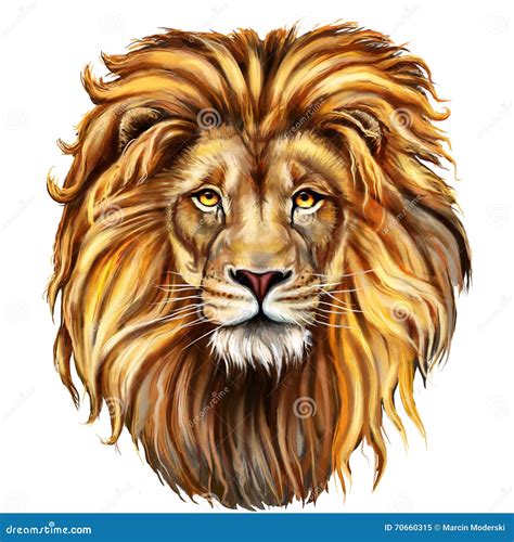 Aslan Clipart And Illustrations