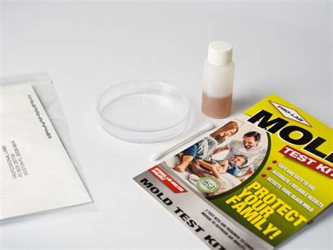 How Does A Mold Test Kit Work And Which One Should You Buy?