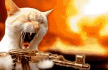 Cat Gun Discord Emojis - Cat Gun Emojis For Discord