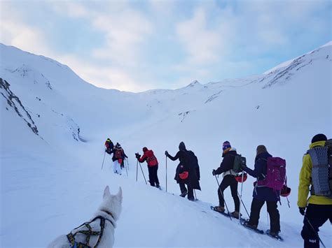 Sarkofagen: Hike in glaciers and mountains - Svalbard Wildlife Expeditions | Hiking ...