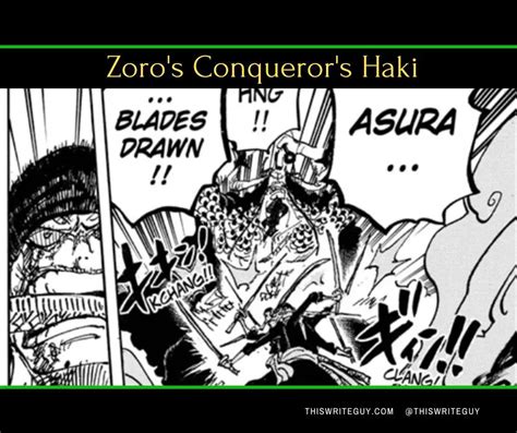 Zoro Asura vs Kaido Advanced Conquerors Haki | One Piece 1010 - This Write Guy