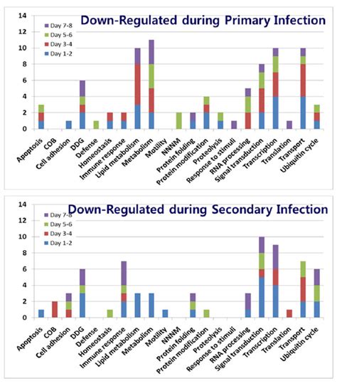 Biological processes of Gene Ontology of down-regulated genes during ...