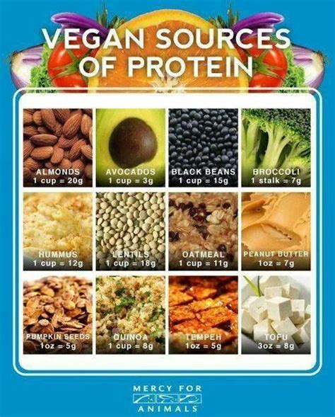 Nutrition Only in Animal-Based Foods