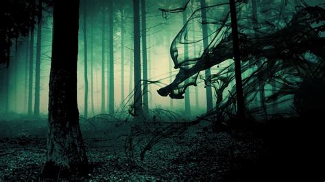 Scary Forest Wallpaper - WallpaperSafari