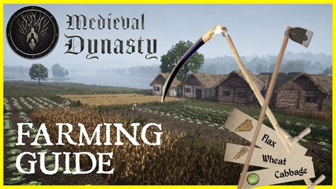 Medieval Dynasty | How to FARM🌾| Guide to Farming, Fields, Seeds, Manure, Barn, Tips & Tricks👨‍🌾 ...