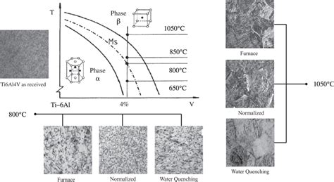 Ti6Al4V alloy phase diagram [27, 28, 39, 40] | Download Scientific Diagram