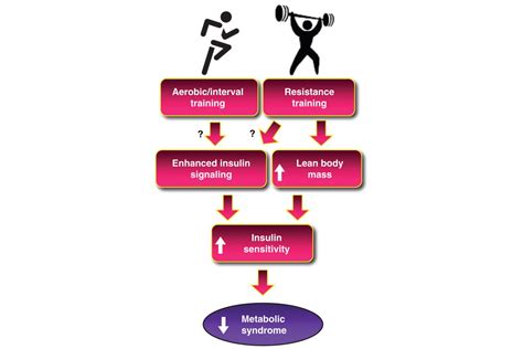 CrossFit | Metabolic Syndrome and Insulin Resistance: Underlying Causes and Modification By ...