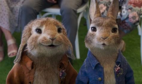 Peter Rabbit 2: The Runaway Official Teaser Trailer and Poster