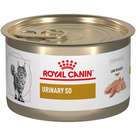 Royal Canin Urinary SO in Gel Wet Cat Food, 5.1 oz., Case of 24 | Petco