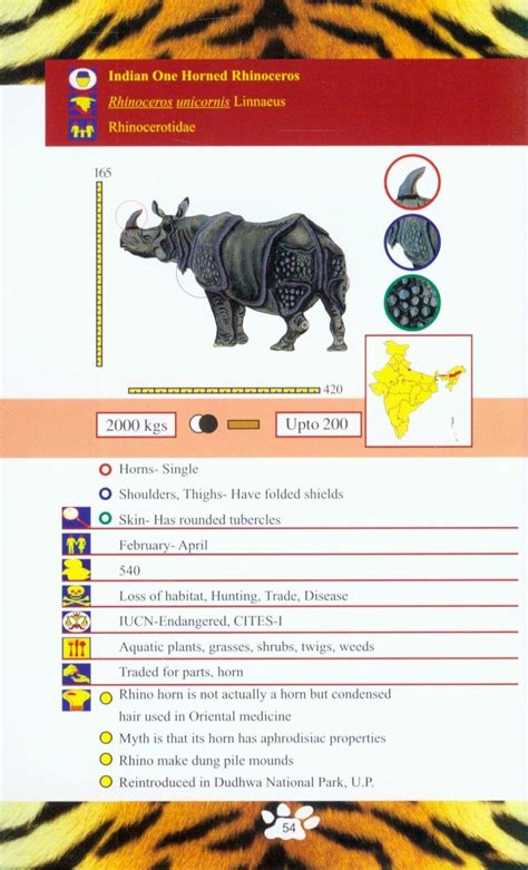 Wildlife of Bihar: A Field Guide | NHBS Field Guides & Natural History