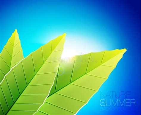 Green Nature Leaf Background Stock Illustration - Illustration of cover, foliage: 25602344