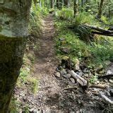 Gales Creek Trail, Oregon - 240 Reviews, Map | AllTrails