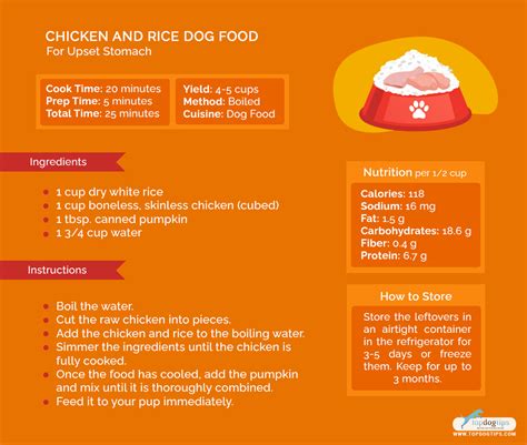 How Much Chicken And Rice Should You Feed Your Dog