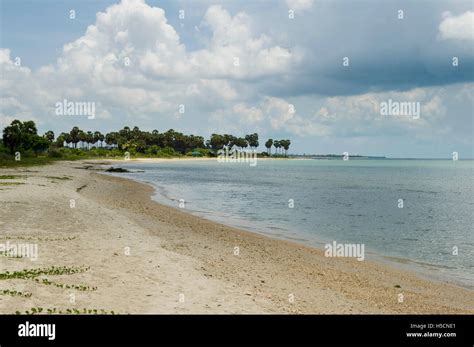 Beach, Jaffna Peninsula, Sri Lanka Stock Photo - Alamy