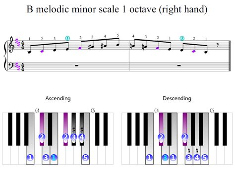 B melodic minor scale 1 octave (right hand) | Piano Fingering Figures