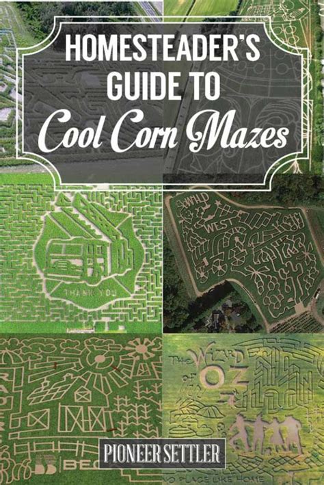 14 Corn Maze Ideas Throughout History | Homesteading Simple Self Sufficient Off-The-Grid ...