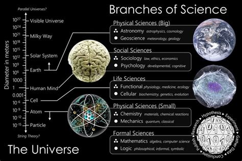 From Wikiwand: The scale of the universe mapped to branches of science ...