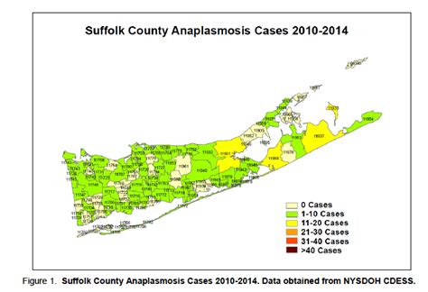 Tick-borne disease rates higher on East End than all of Suffolk County | RiverheadLOCAL