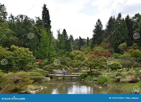 Seattle Japanese Garden in Washington Stock Photo - Image of asian ...