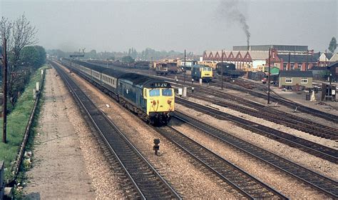 BR Class 50 50009, West Ealing, 30th. April 1974 | Class 50s… | Flickr