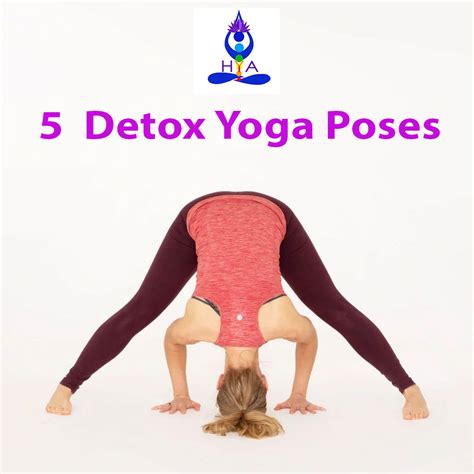 5 Effective Detox Yoga Poses | Learn Yoga Poses for Health | Nepal