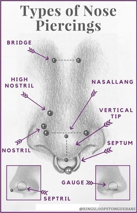 Septum Piercing Placement Diagram