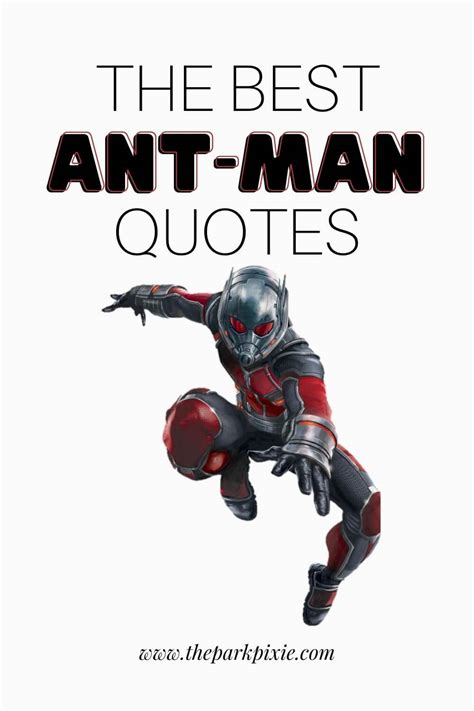 Best Ant-Man Quotes to Share Across the Interwebz in 2024