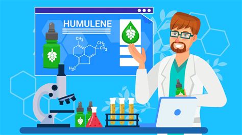 What is Humulene Terpene? Strains, Benefits, and Effects