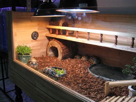 pingpong2708's image | Tortoise cage, Tortoise habitat, Turtle habitat